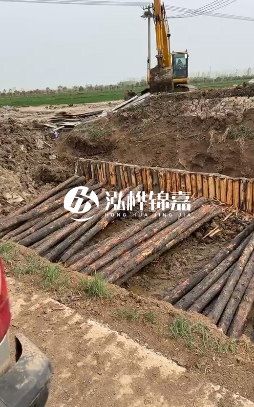 4米直徑12-13油松批發(fā)價最低多少？報價含稅含運嗎？