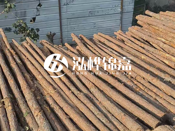 松木樁打樁后清淤怎么處理？有沒有全包的公司？