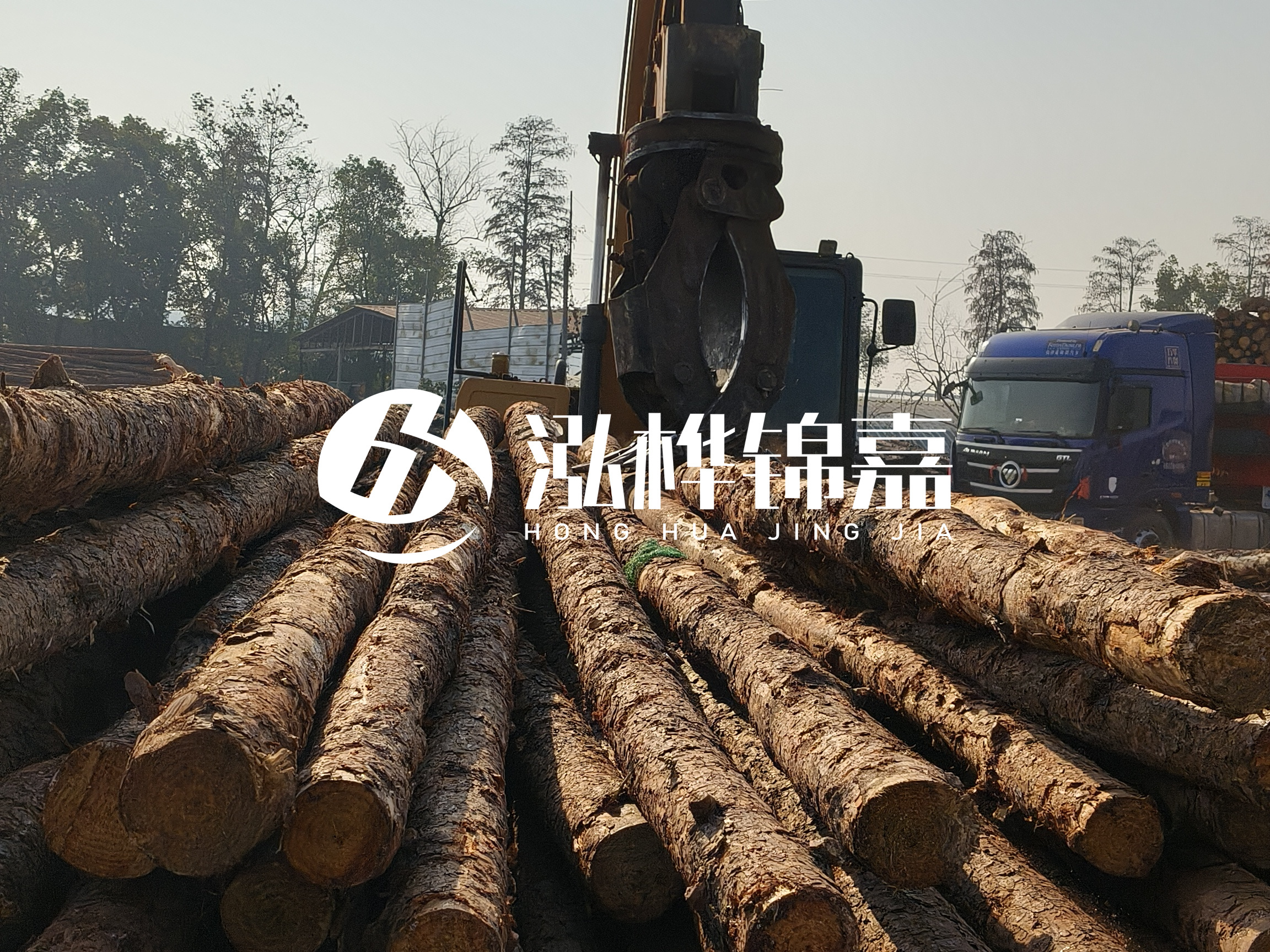 松木樁可以用來做什么？常用于哪些工程？